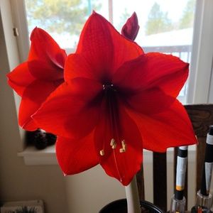 Meet your Posher, Deborah